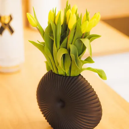 Apartman Stayprime Centrum