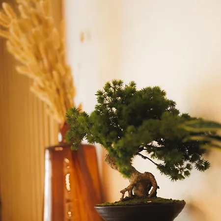 Apartman Stayprime Centrum Besztercebánya